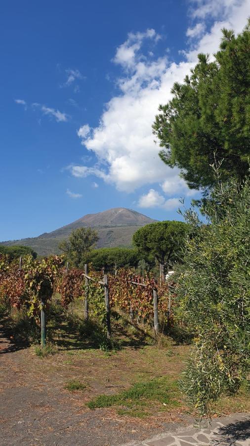 Boscotrecase Beb Casale Pompei Rendineヴィラ エクステリア 写真
