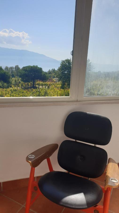 Boscotrecase Beb Casale Pompei Rendineヴィラ エクステリア 写真